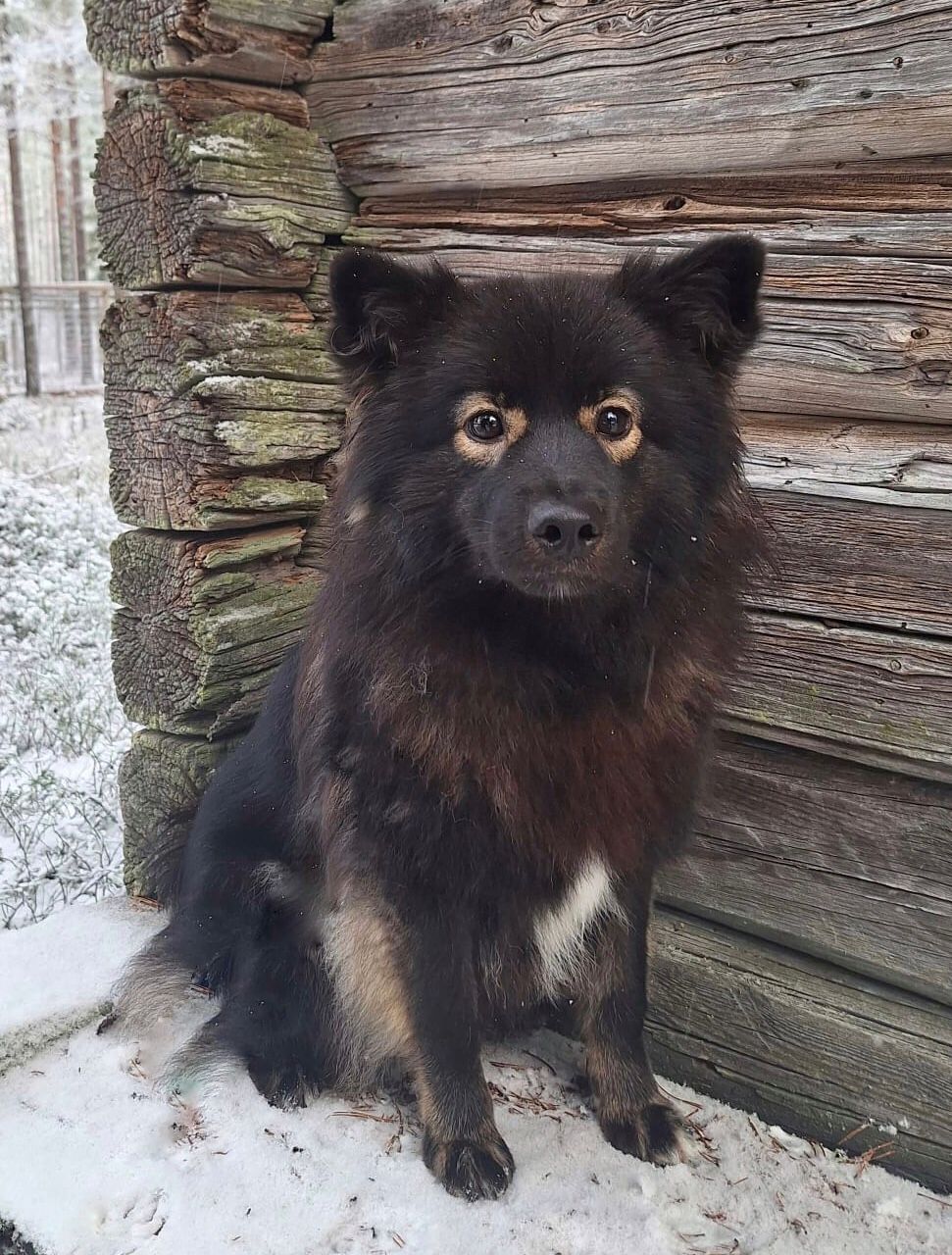 © Pirjo Kivijärvi